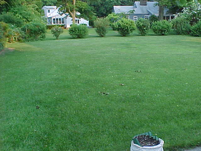 yard work images